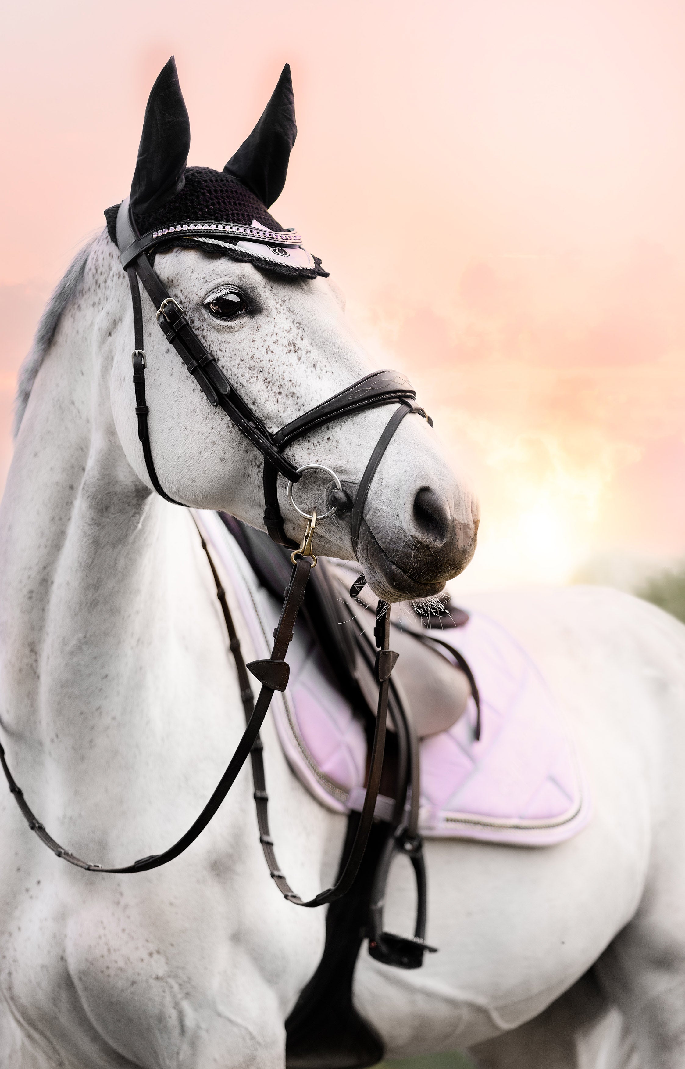 Frosted Lilac Fly Hat - Equine Exchange Tack Shop
