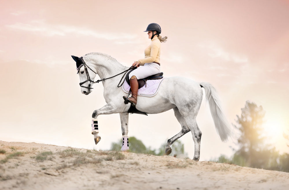 Frosted Lilac Brushing Boots - Equine Exchange Tack Shop