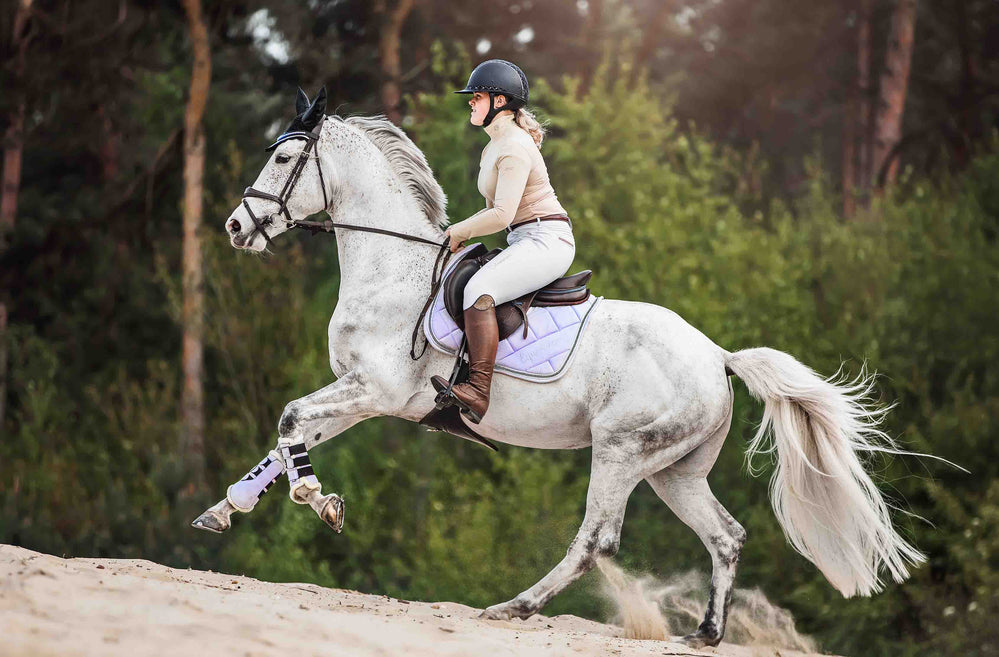 Frosted Lilac Saddle Pad Set - Equine Exchange Tack Shop