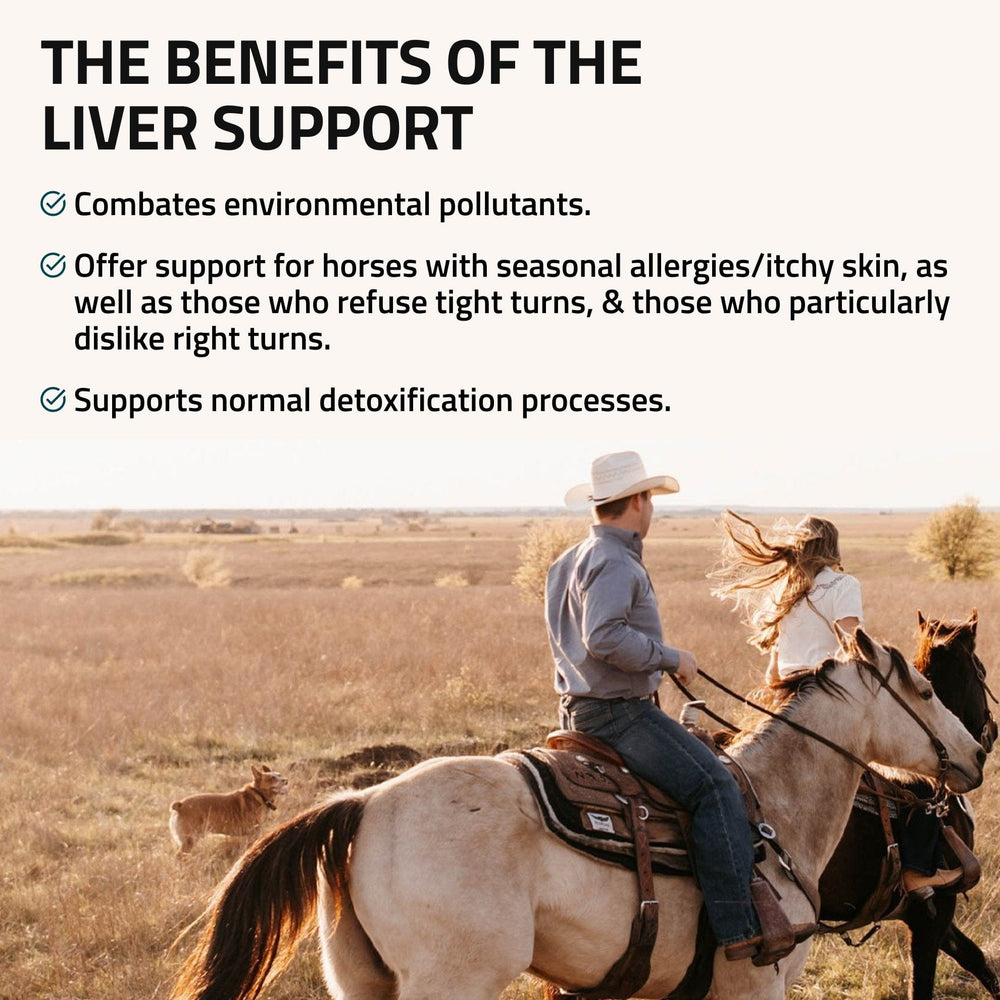 Liver Support for Horses - Equine Exchange Tack Shop
