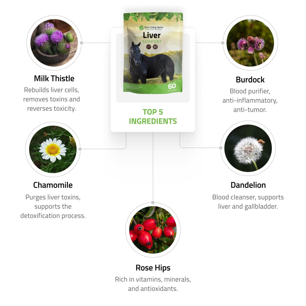 Liver Support for Horses - Equine Exchange Tack Shop