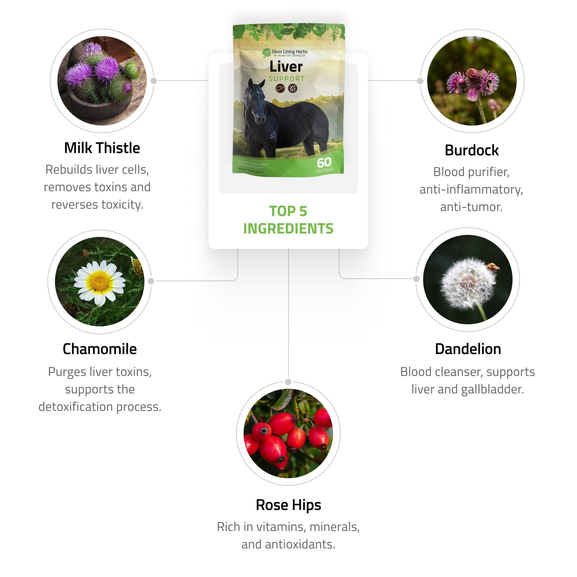 Liver Support for Horses - Equine Exchange Tack Shop