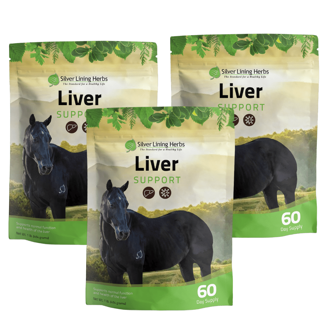Liver Support for Horses - Equine Exchange Tack Shop