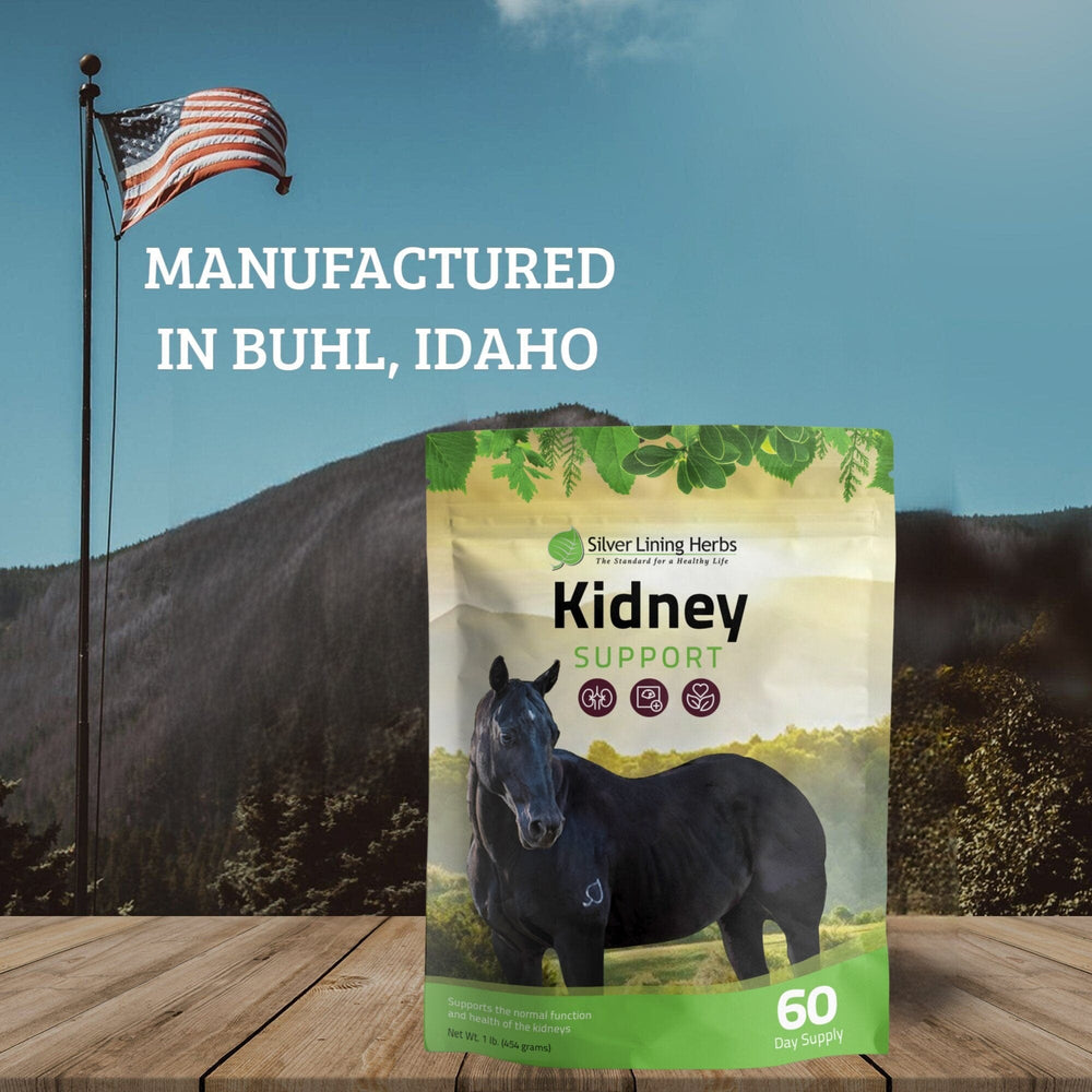 Liver Support for Horses - Equine Exchange Tack Shop