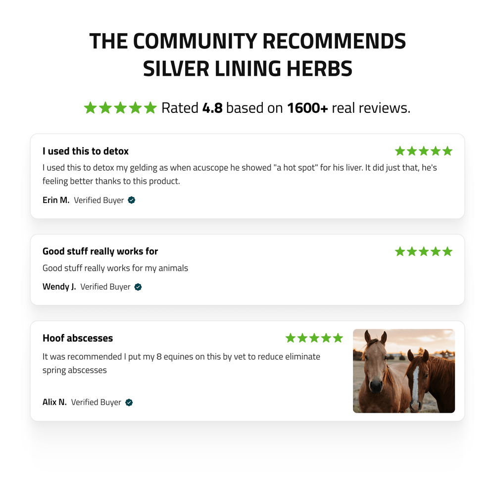 Liver Support for Horses - Equine Exchange Tack Shop