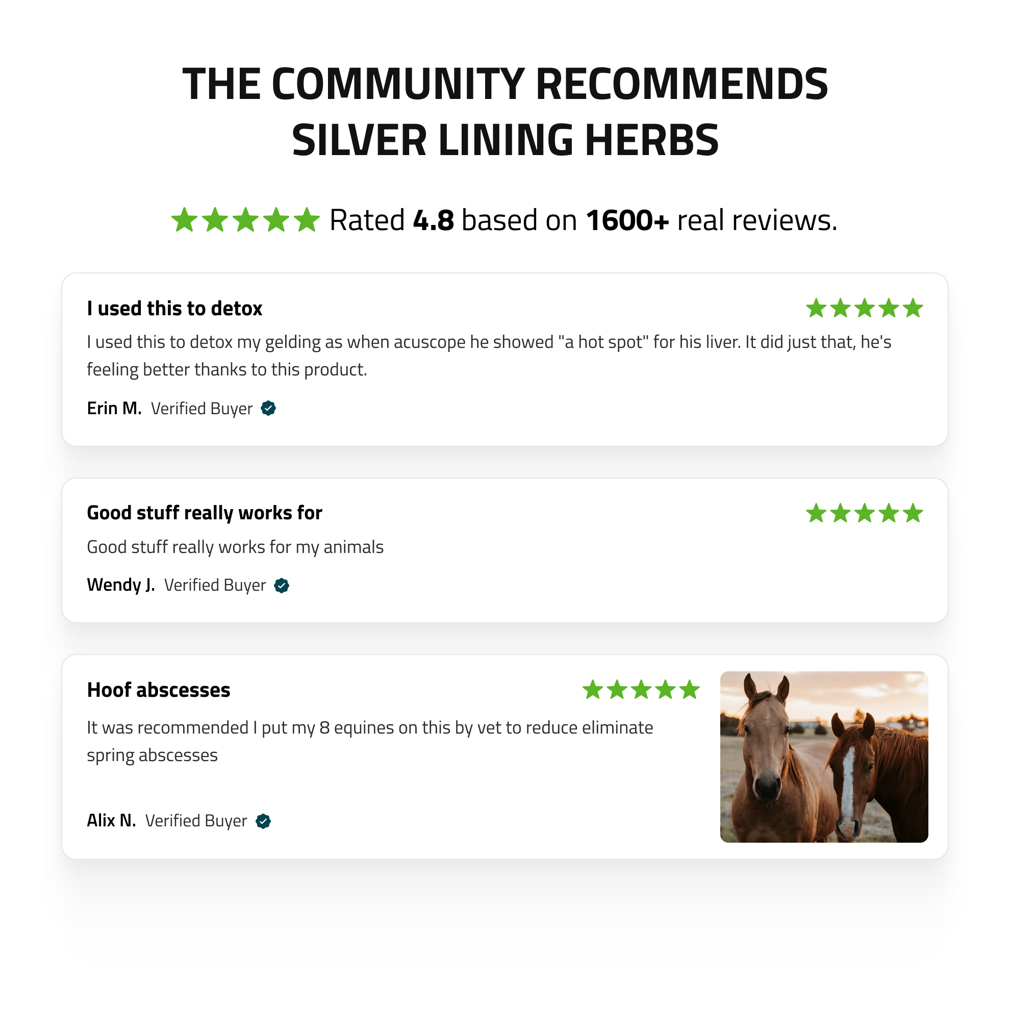 Liver Support for Horses - Equine Exchange Tack Shop