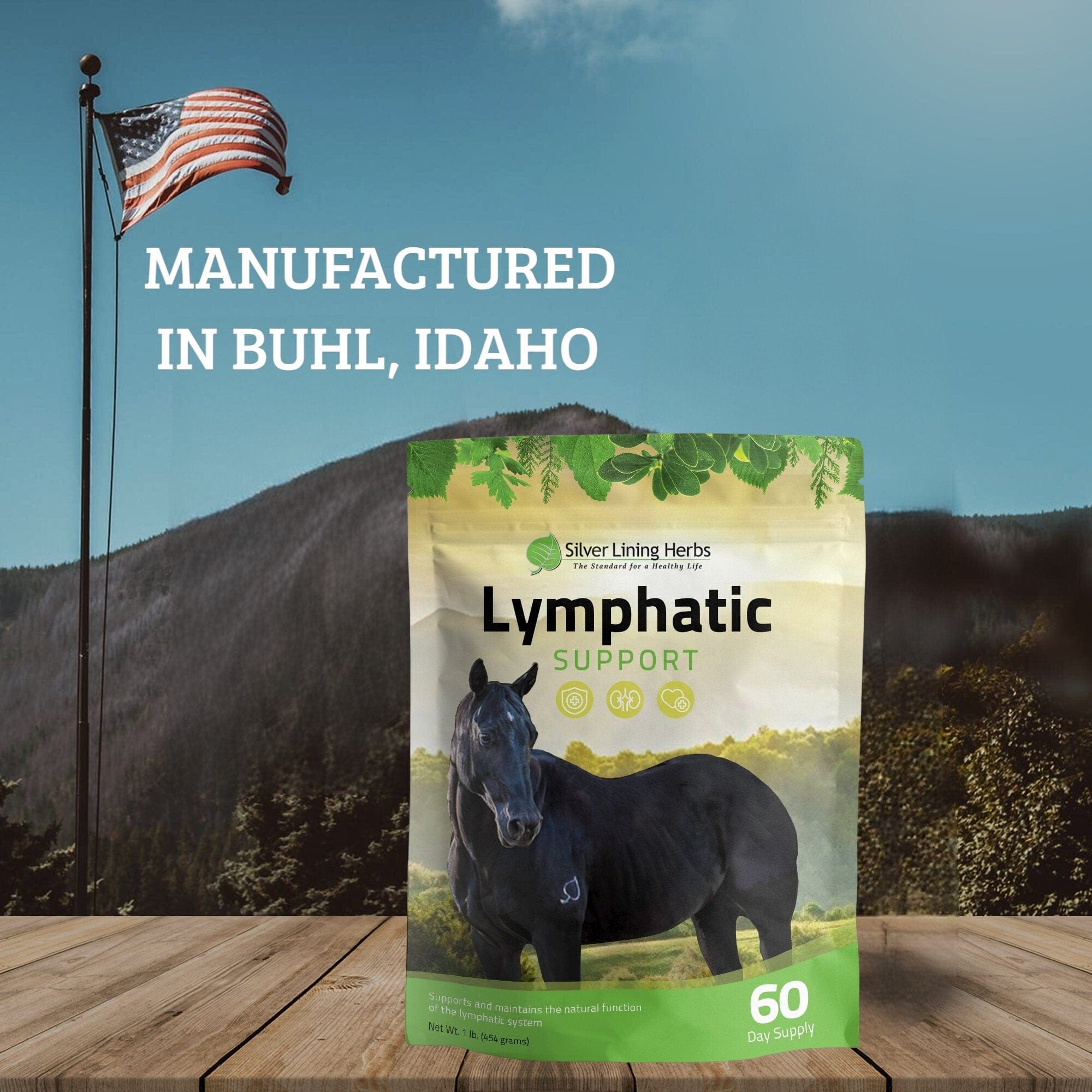Lymphatic Support for Horses - Equine Exchange Tack Shop
