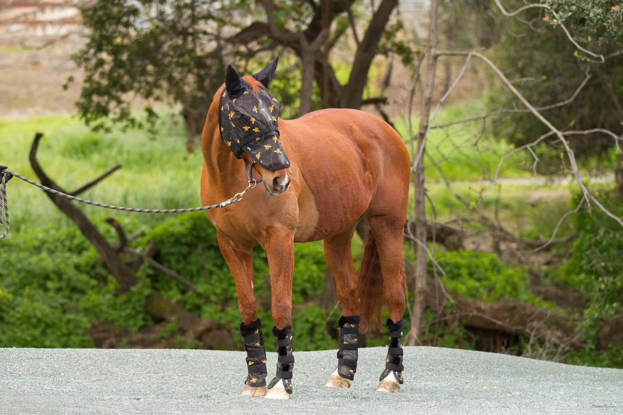 Mackey Bee Mine Fly Mask With Ears And Detachable Nose | Equine ...