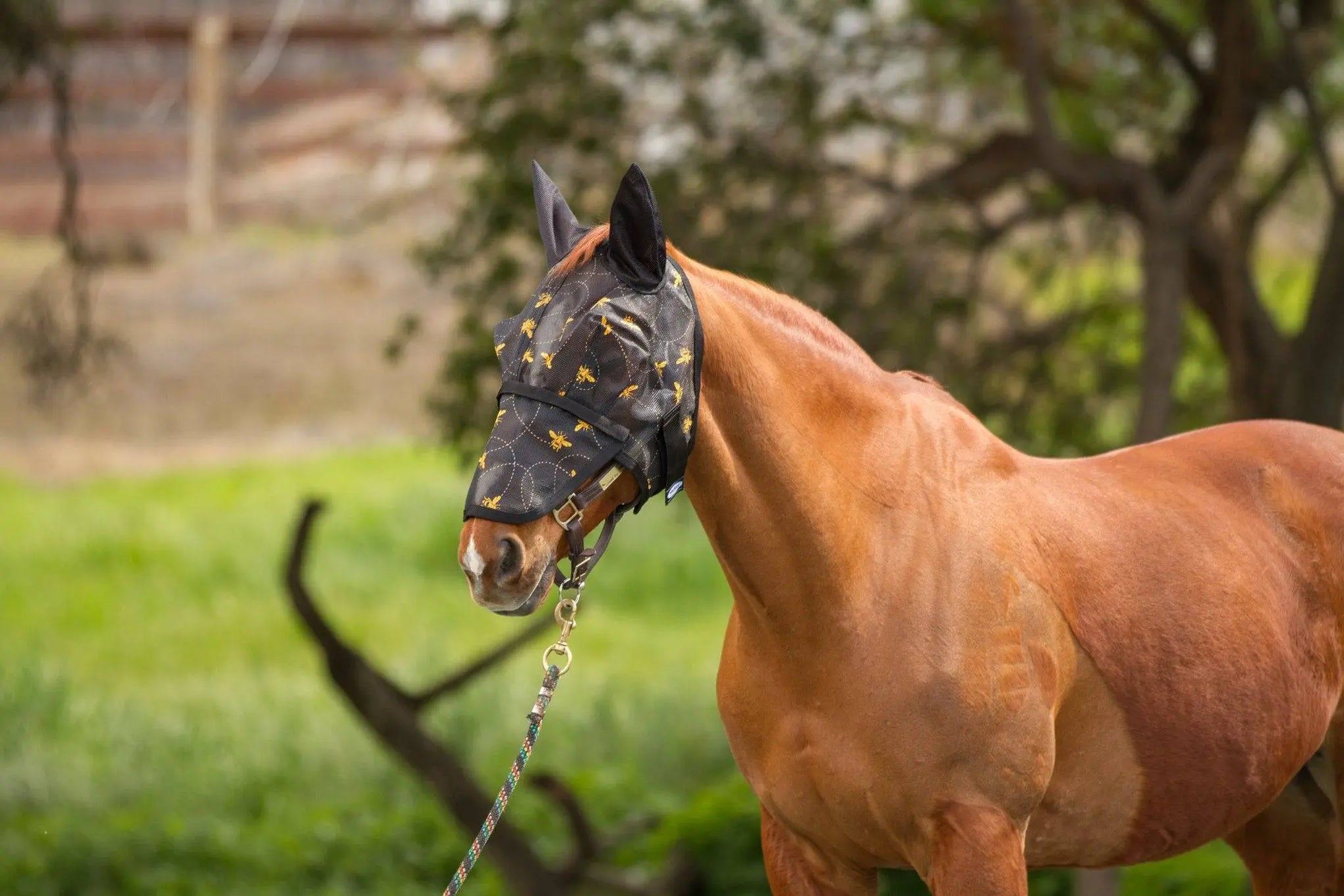 Mackey Bee Mine Fly Mask With Ears And Detachable Nose | Equine ...