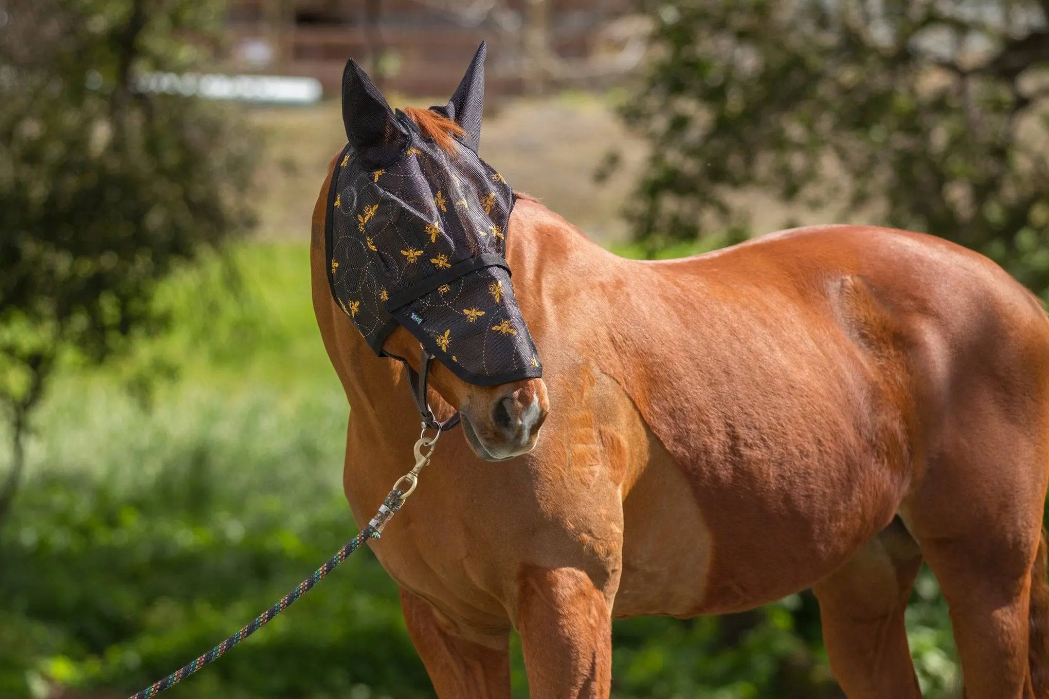 Mackey Bee Mine Fly Mask With Ears And Detachable Nose | Equine ...