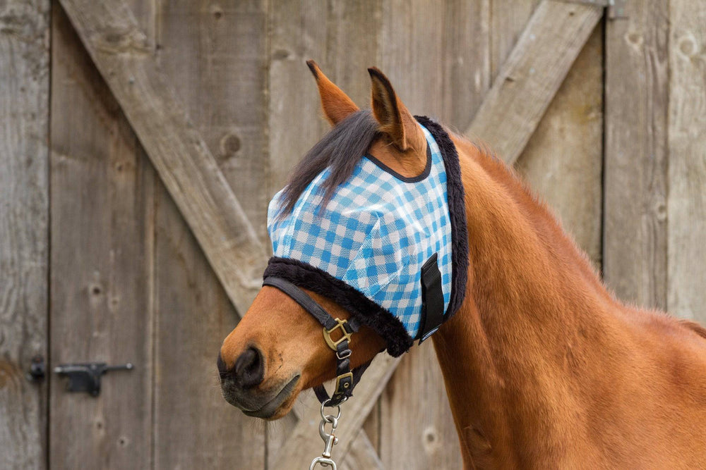 Mackey Modern Vintage Fly Mask Turq Gingham with Fleece Binding - Equine Exchange Tack Shop