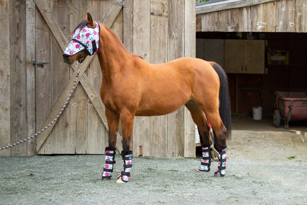 Mackey Modern Vintage Fly Mask With Detachable Nose - Equine Exchange Tack Shop