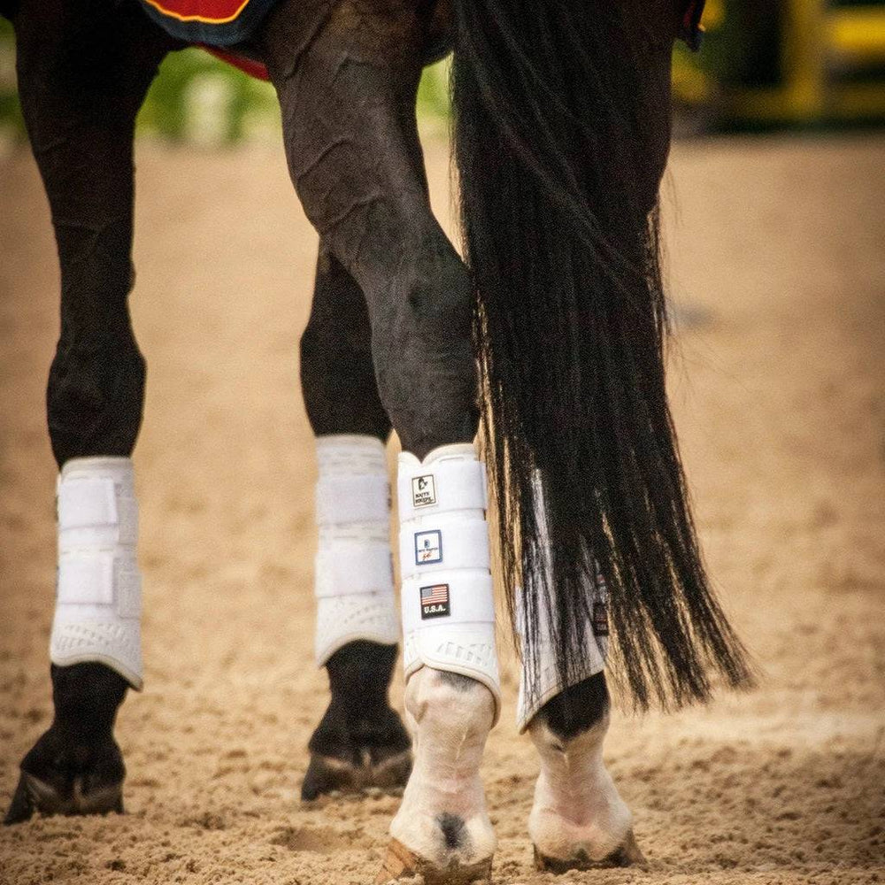 Boyd Martin Series Eventing 4 Pack - (Fronts and Hinds) - Equine Exchange Tack Shop
