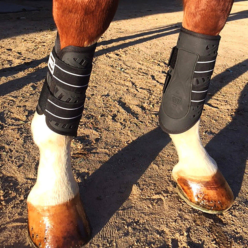 Majyk Equipe Dressage Sport Boots - Equine Exchange Tack Shop
