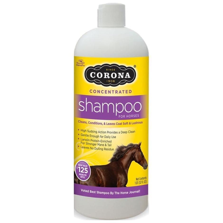 Corona Concentrated Shampoo For Horses - Equine Exchange Tack Shop