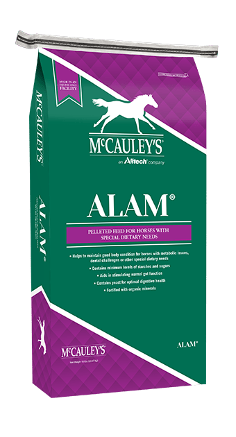 McCauley's Alam - Equine Exchange Tack Shop