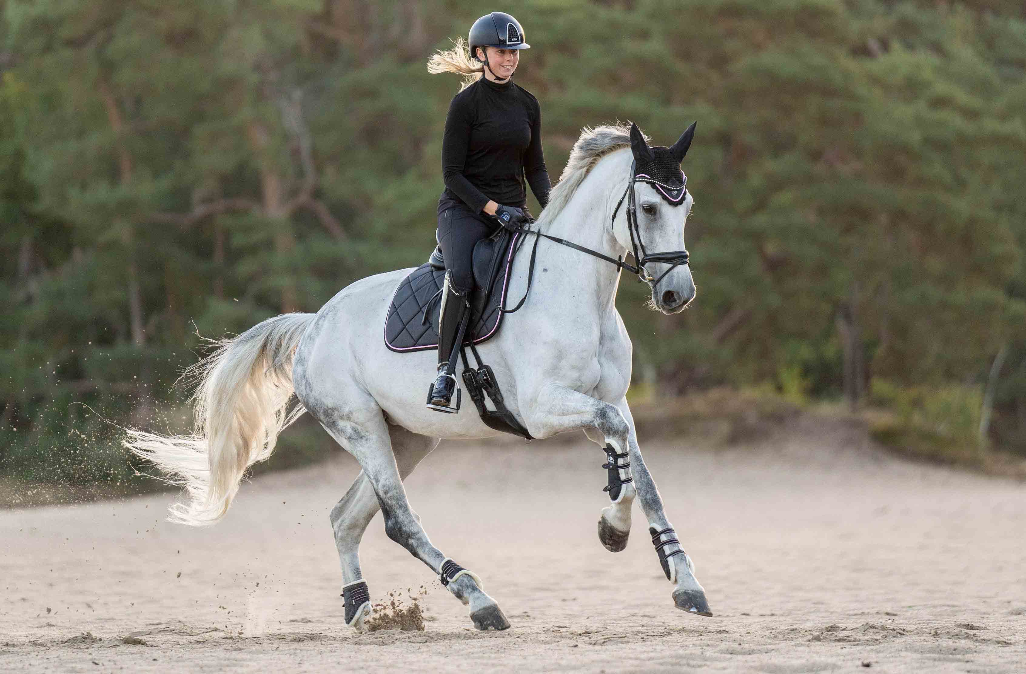 Midnight Black Fly Hat - Equine Exchange Tack Shop
