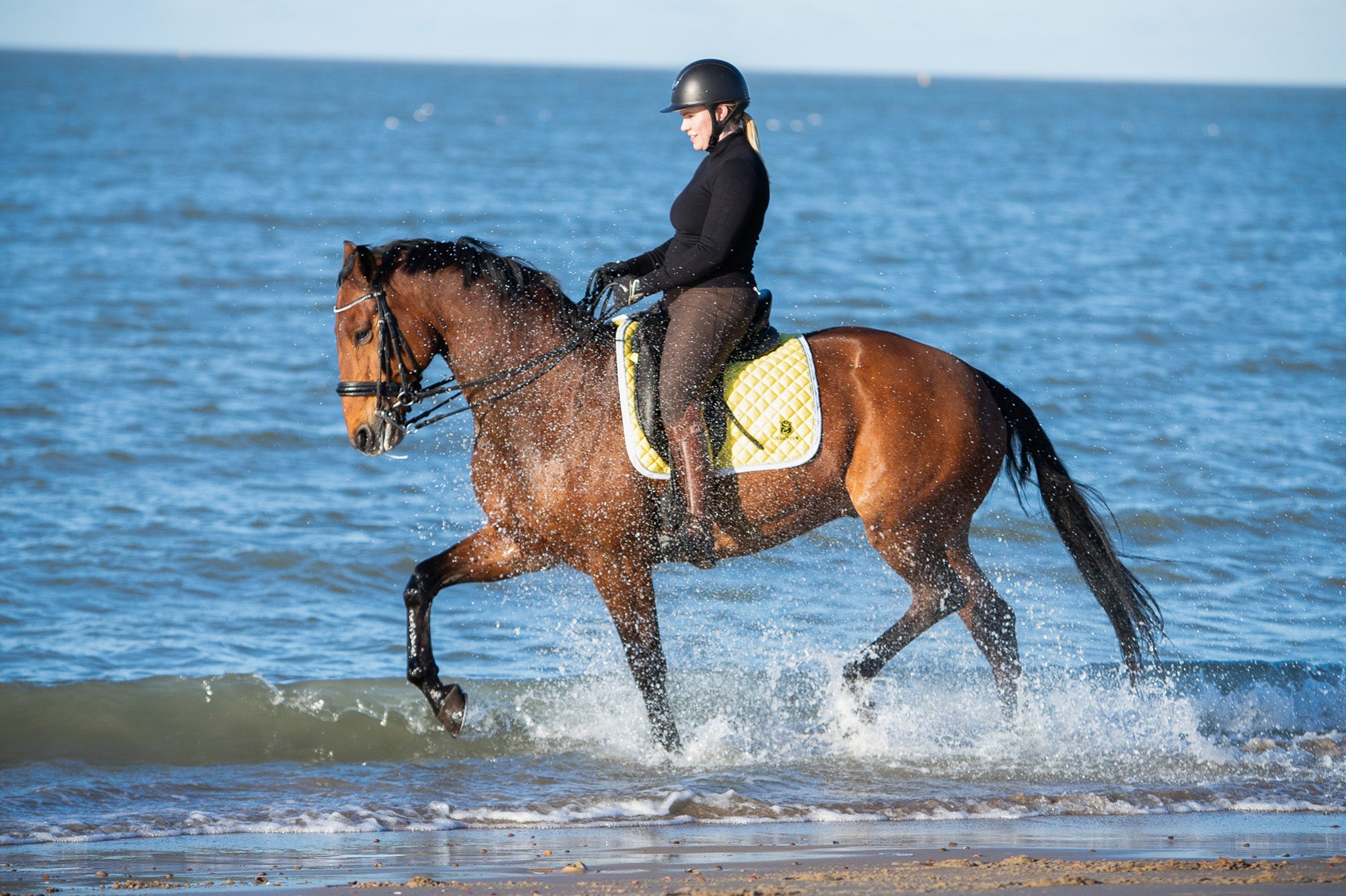 Mimosa Saddle Pad - Equine Exchange Tack Shop
