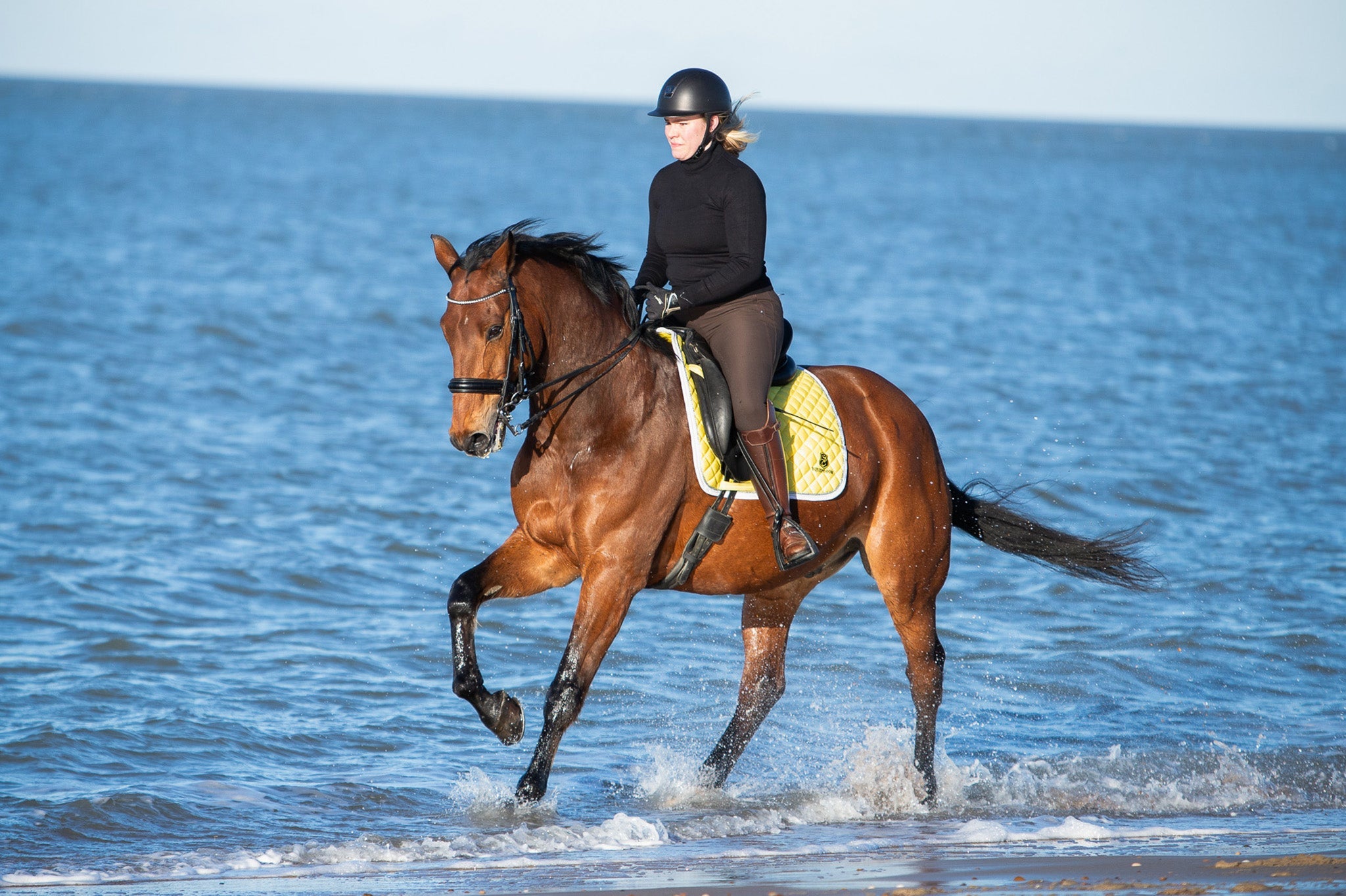 Mimosa Saddle Pad - Equine Exchange Tack Shop