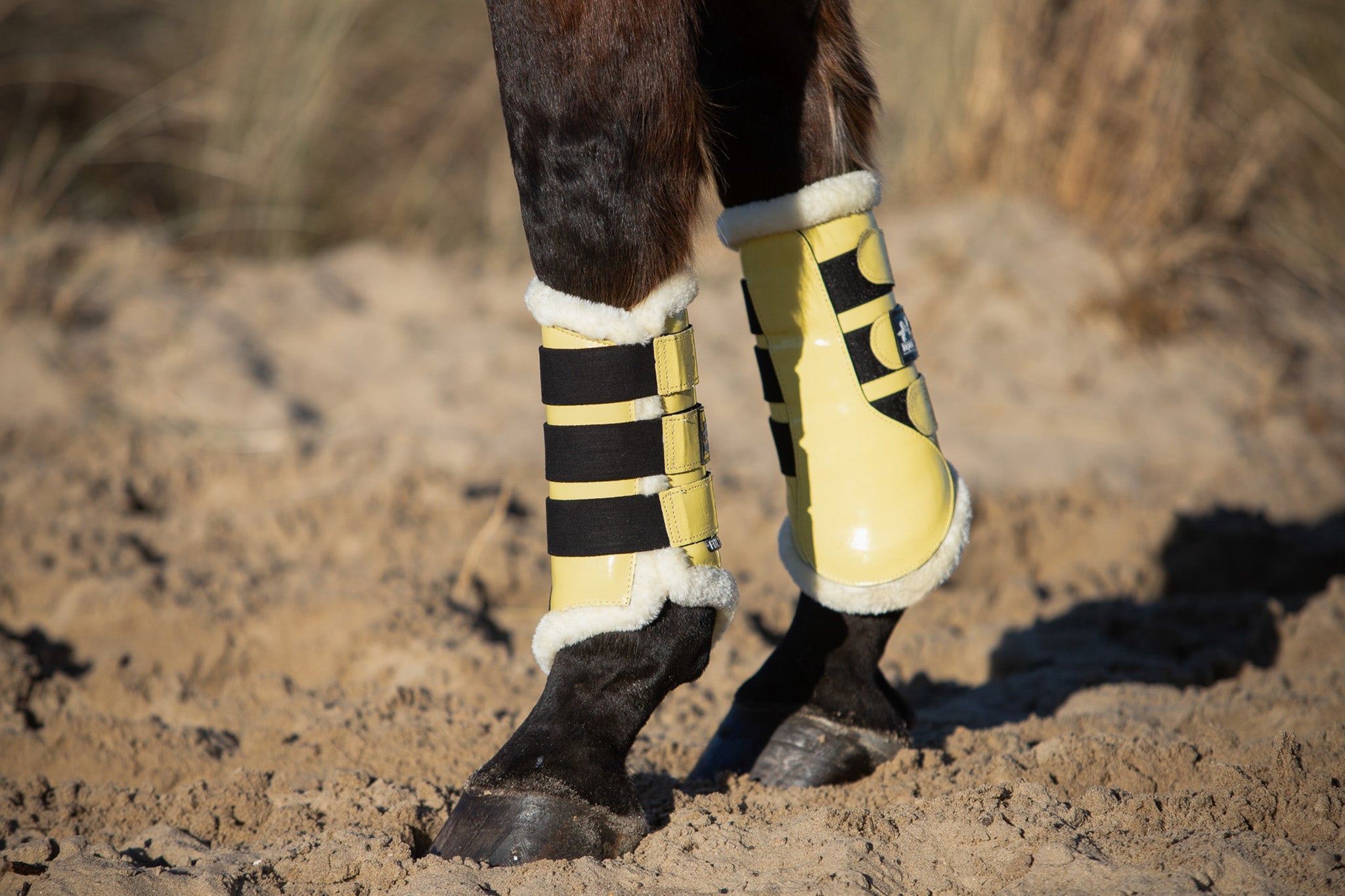 Mimosa Saddle Pad Set - Equine Exchange Tack Shop