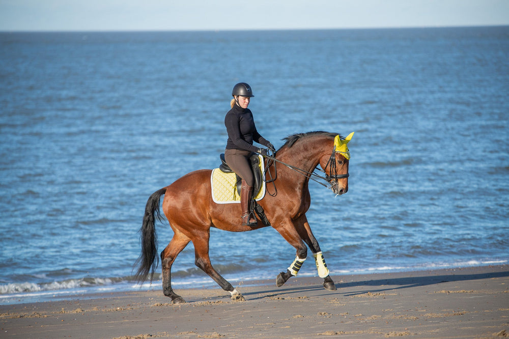 Mimosa Saddle Pad - Equine Exchange Tack Shop