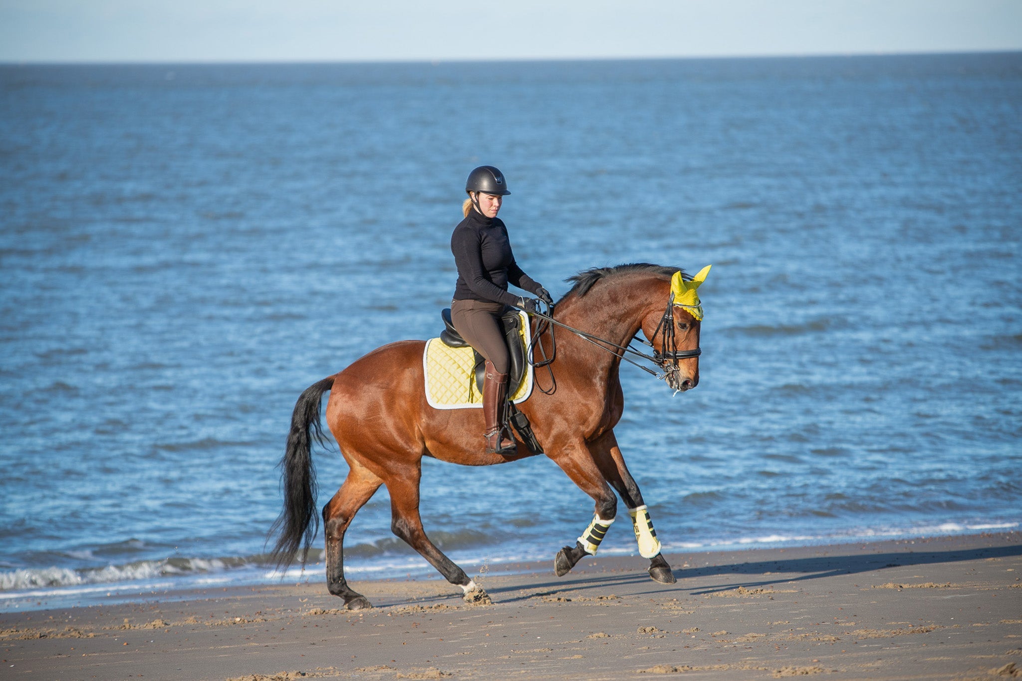 Mimosa Brushing Boots - Equine Exchange Tack Shop