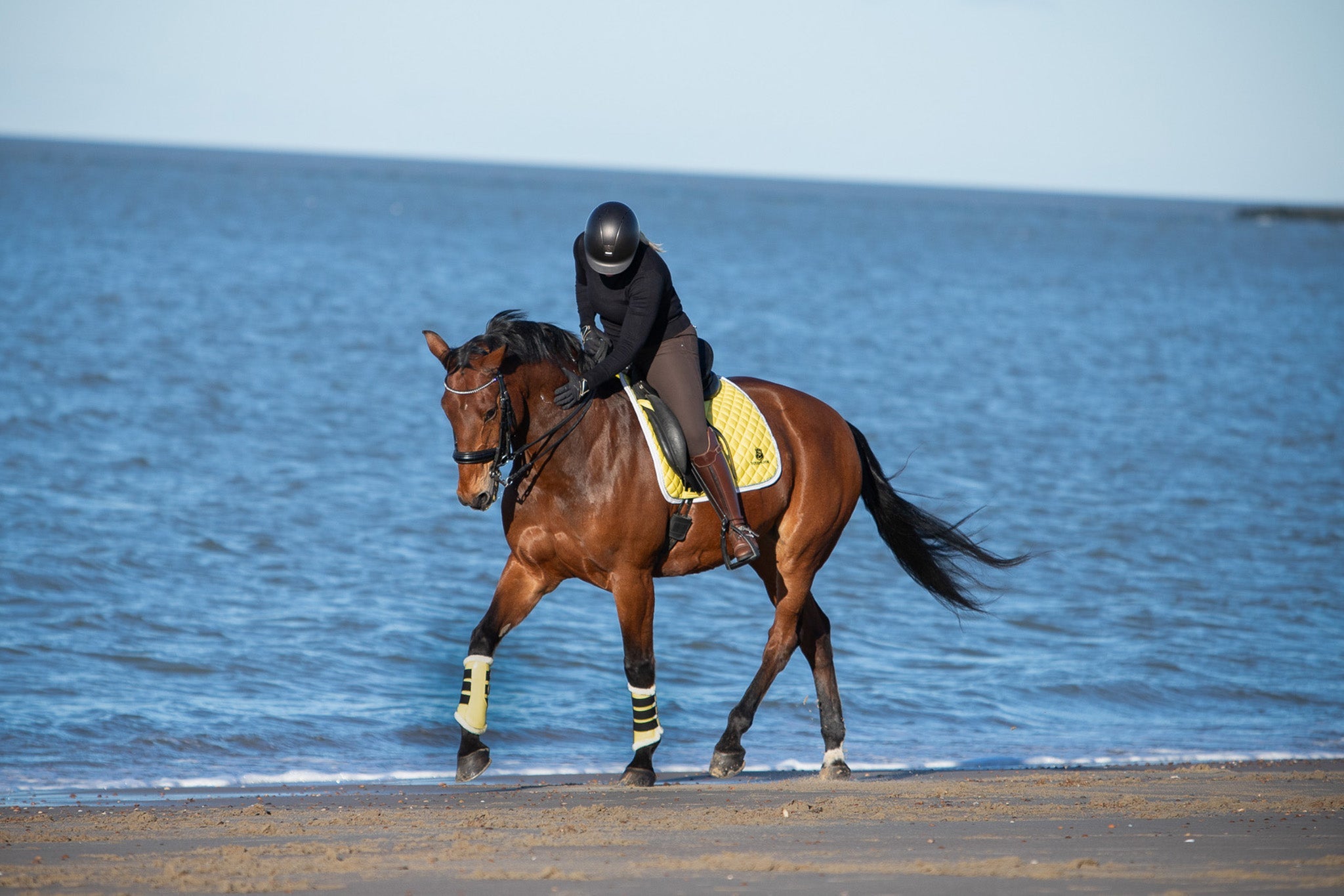 Mimosa Saddle Pad Set - Equine Exchange Tack Shop