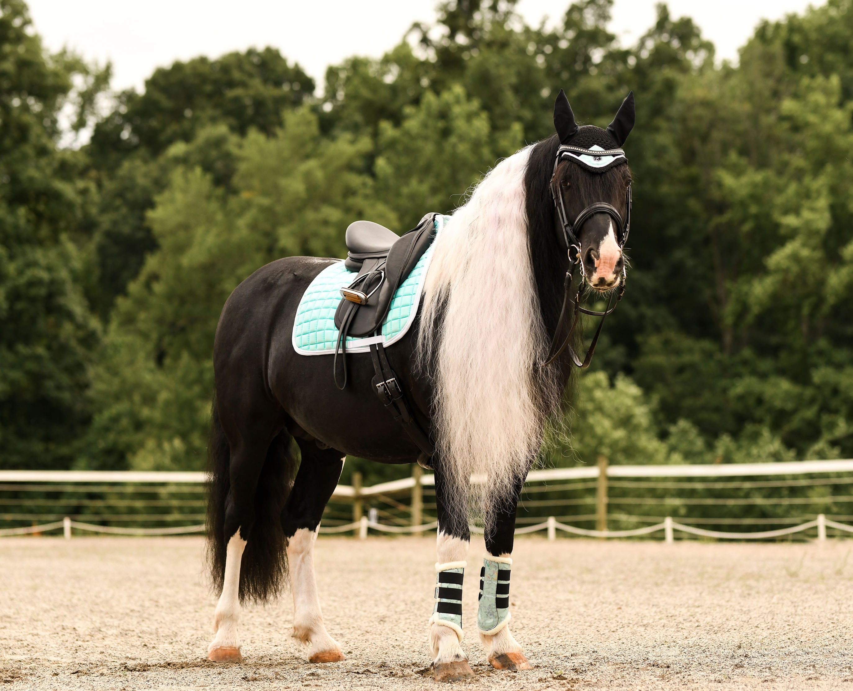 Mint Green Saddle Pad Set - Equine Exchange Tack Shop