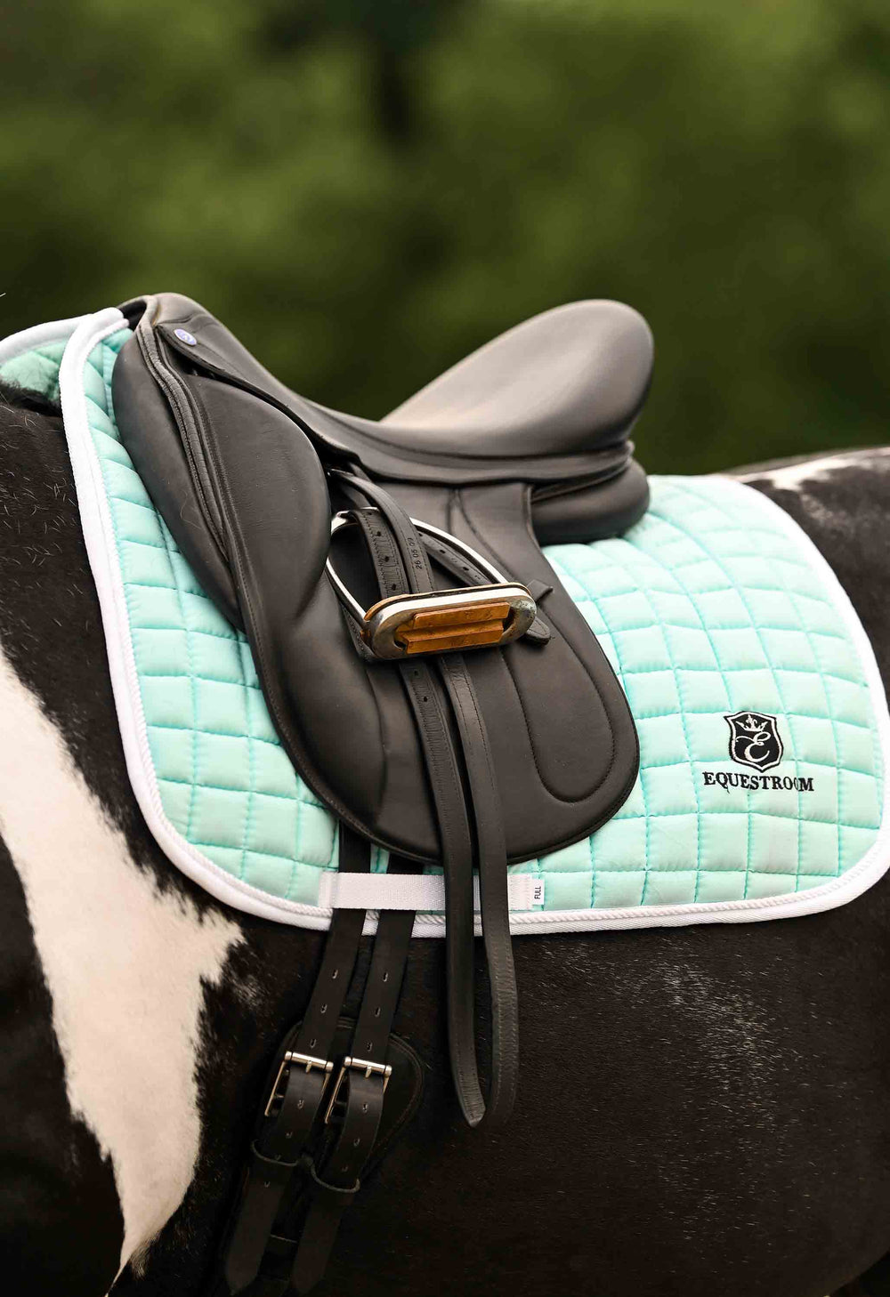 Mint Green Saddle Pad - Equine Exchange Tack Shop