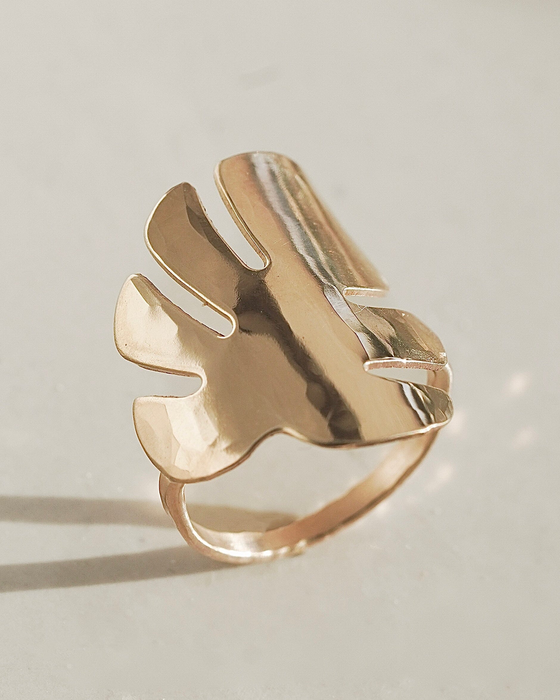 Tropical Leaf Ring