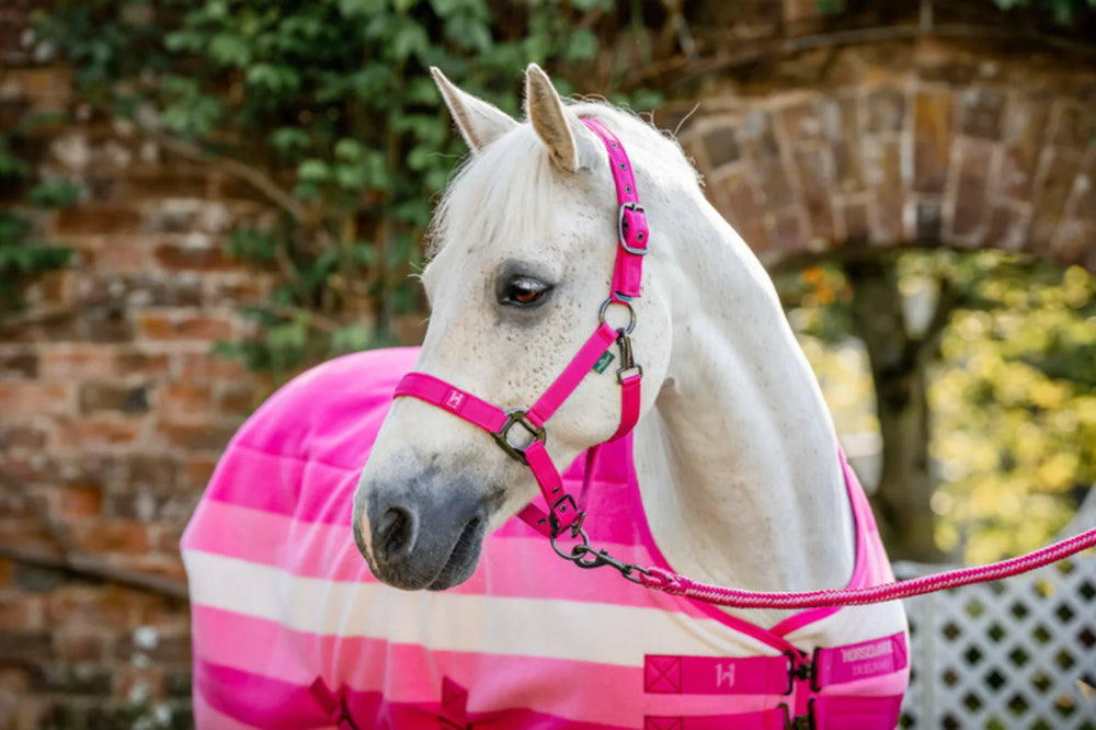 Horseware® Newmarket Halter w/Leadrope - Equine Exchange Tack Shop