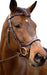 Nunn Finer Innovativo English Bridle - Equine Exchange Tack Shop