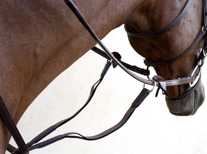 Nunn Finer Running Martingale With Elastic - Equine Exchange Tack Shop