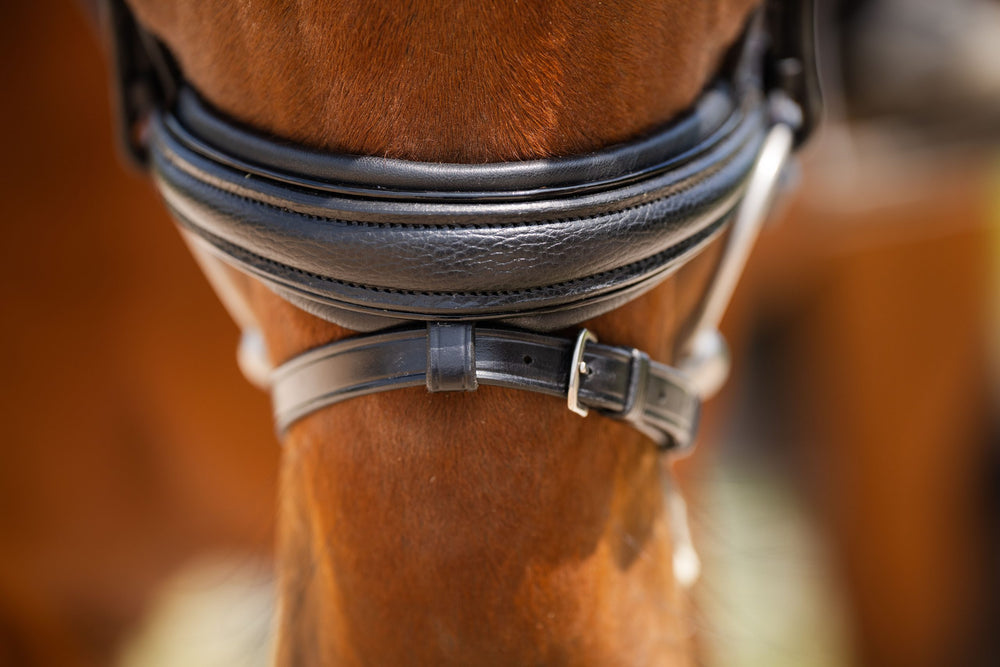 Olympian Dressage Bridle - Equine Exchange Tack Shop