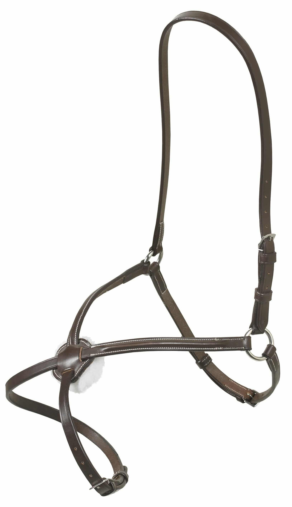 Ovation Elite Collection- Raised Figure 8 Noseband - Equine Exchange Tack Shop