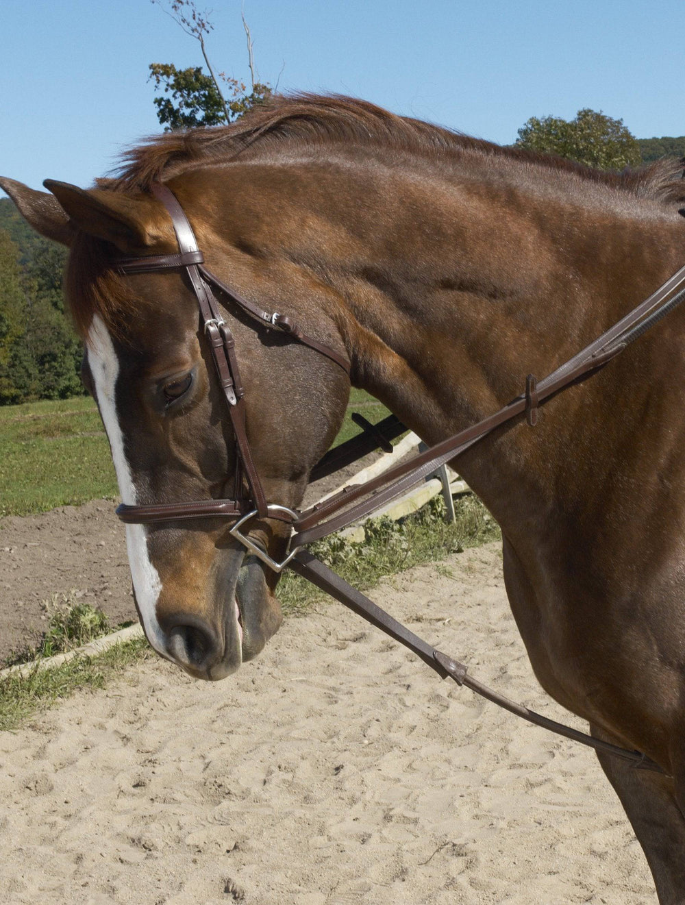 Ovation Stretch Cord Draw Reins - Equine Exchange Tack Shop