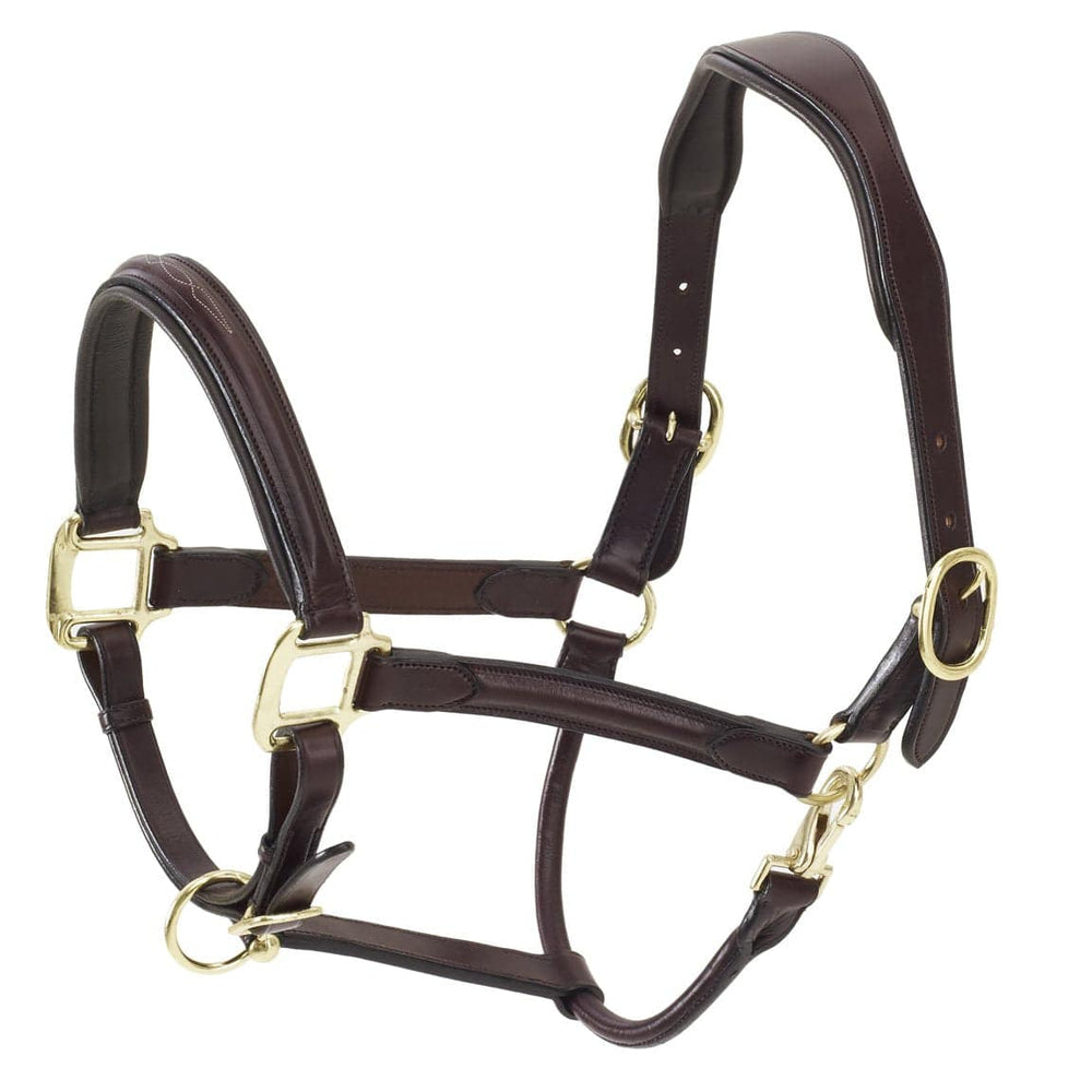 Ovation ATS Fancy Stitch Raised Padded Halter - Equine Exchange Tack Shop