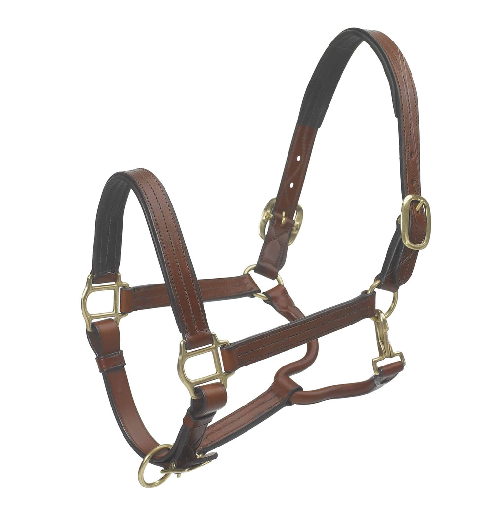 Ovation Triple Stitched Padded Halter - Equine Exchange Tack Shop