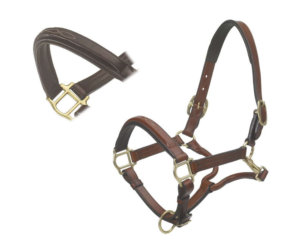 Ovation Wide Square Raised Padded Fancy Stitch Halter - Equine Exchange Tack Shop