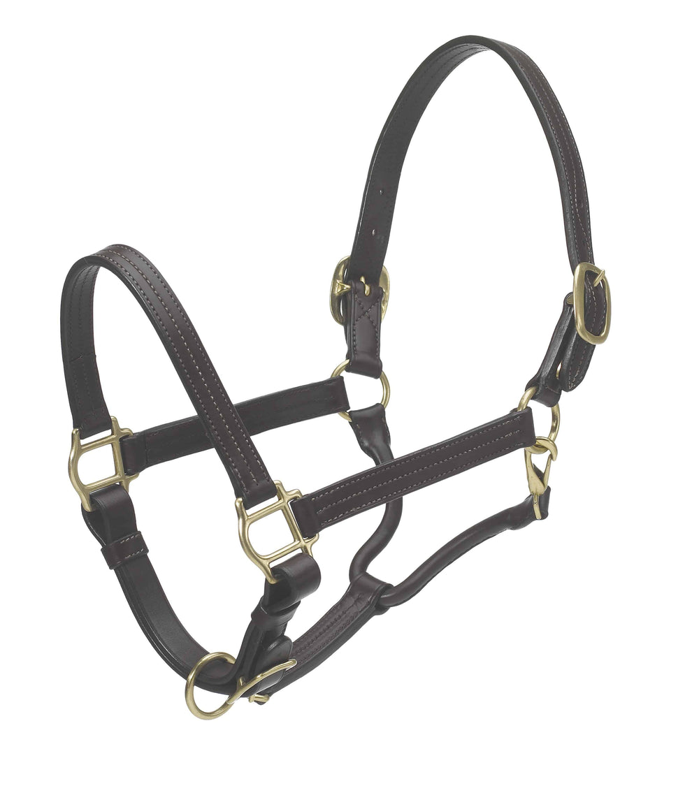Ovation Triple Stitch Show Halter - Equine Exchange Tack Shop