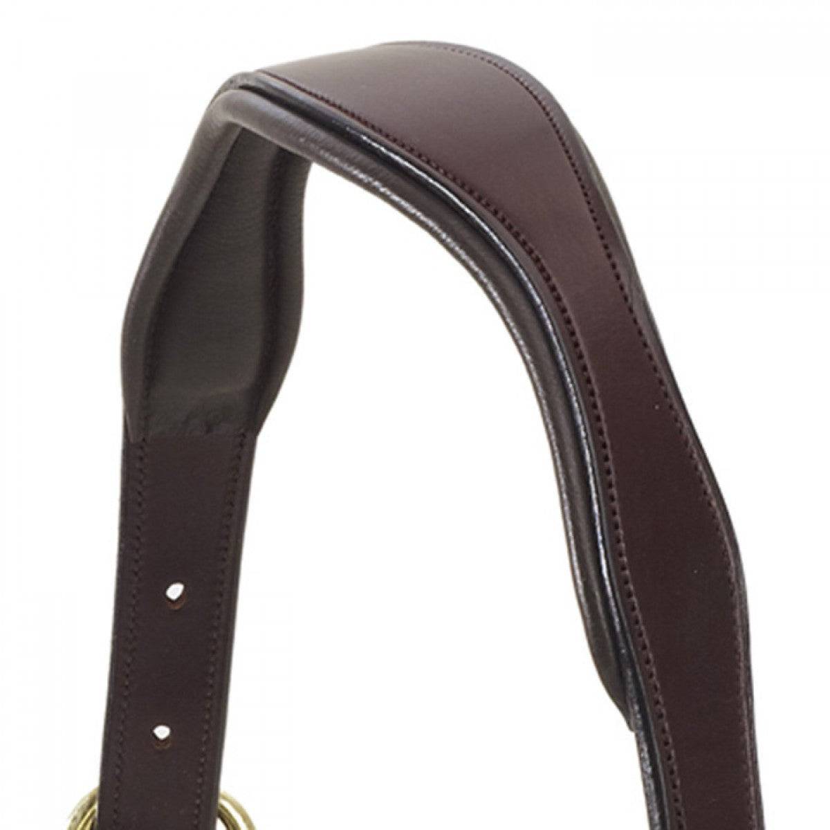 Tack - Halters/Leads