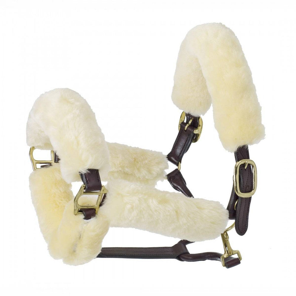 Ovation® Europa™ Sheepskin 6-Piece Halter Set - Equine Exchange Tack Shop