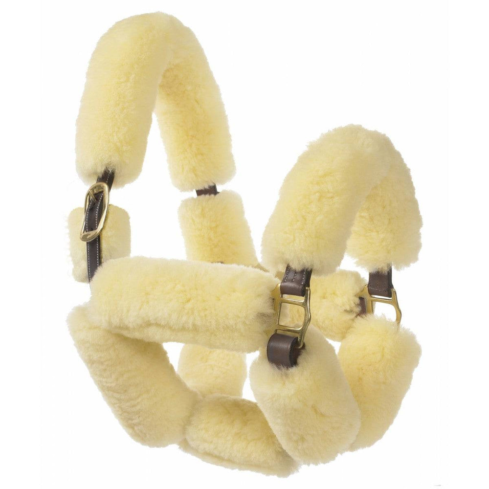 Ovation® Sheepskin Covered Halter - Equine Exchange Tack Shop
