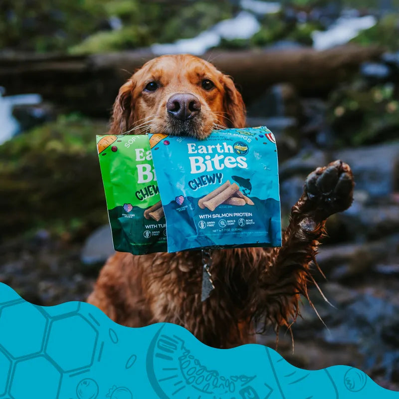 EarthBites Chewy with Salmon Protein