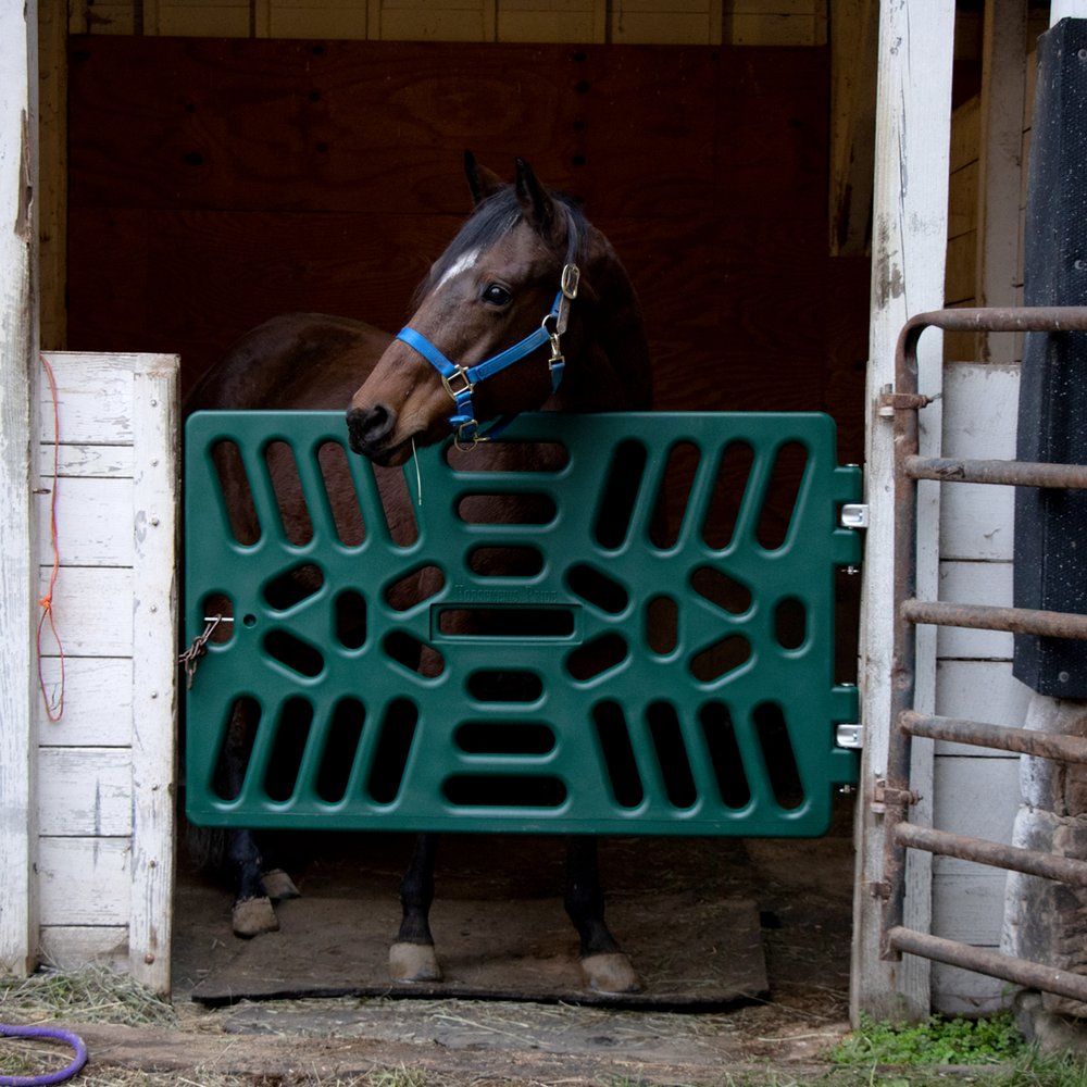 Plastic Stall Gate - Equine Exchange Tack Shop