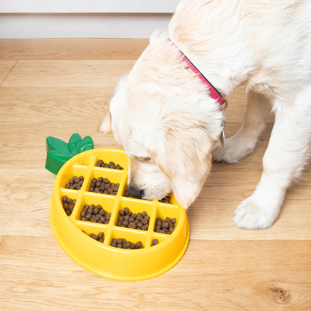 Happy Bowl Slow Feeder For Dogs