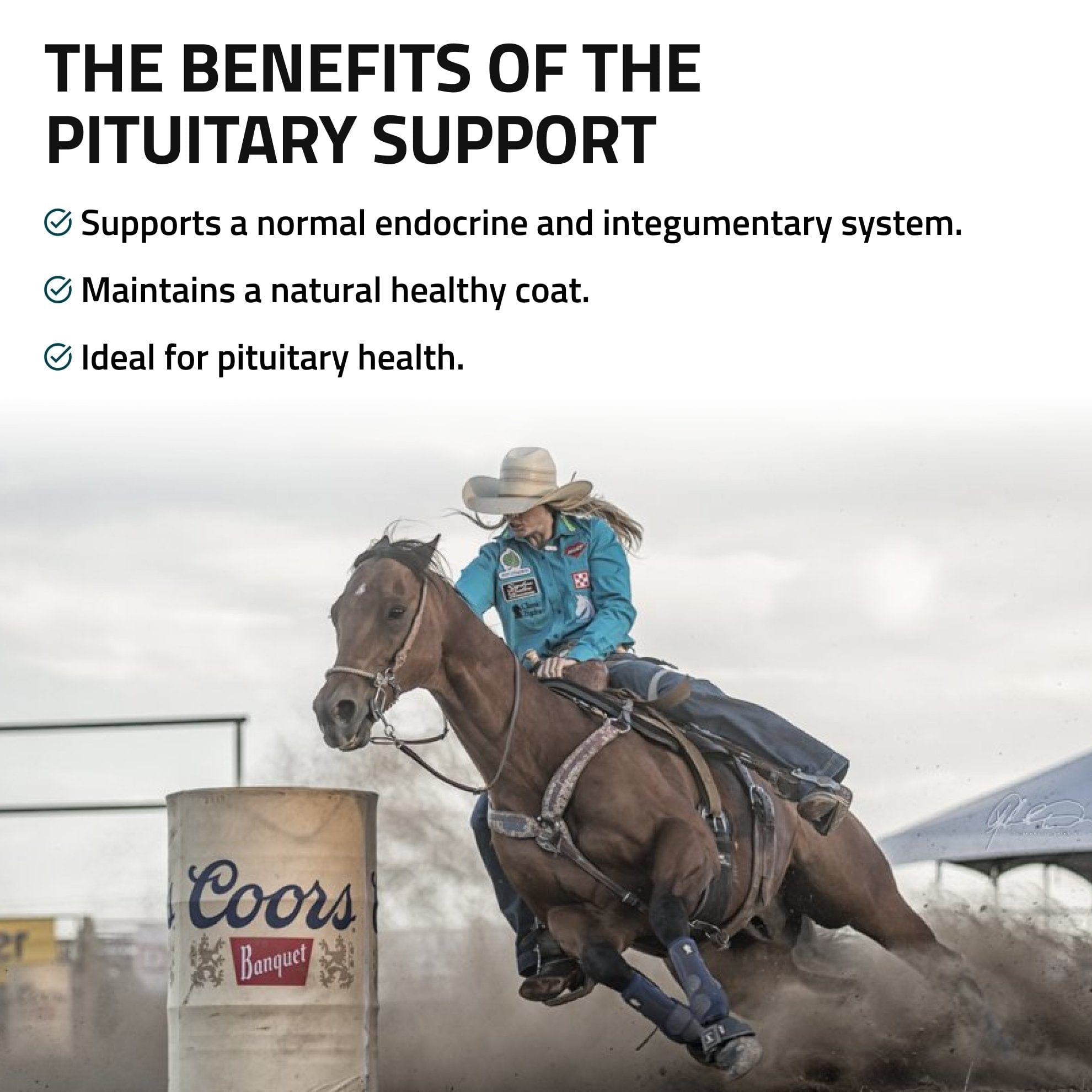 Pituitary Support for Horses - Equine Exchange Tack Shop