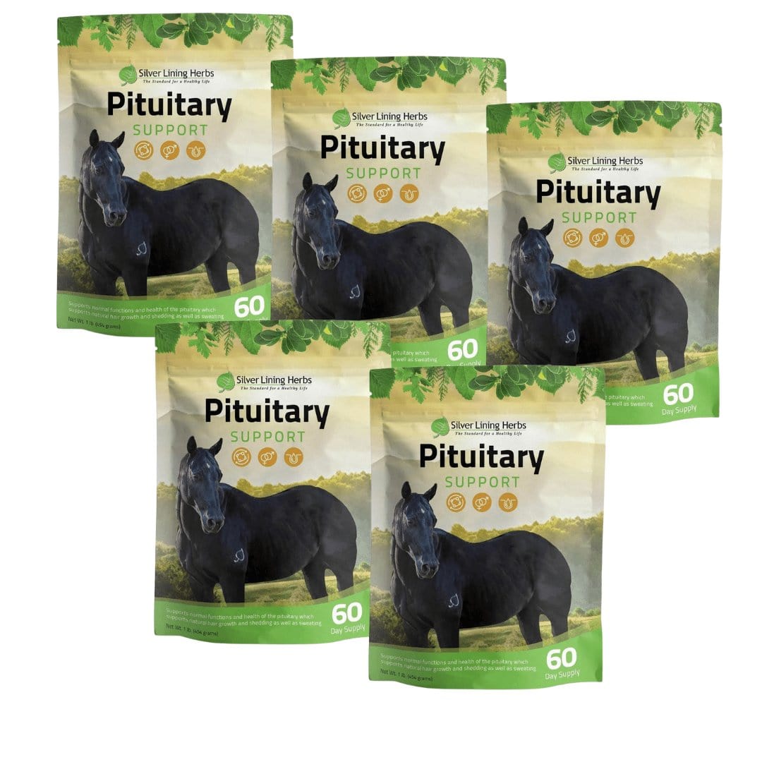 Pituitary Support for Horses - Equine Exchange Tack Shop