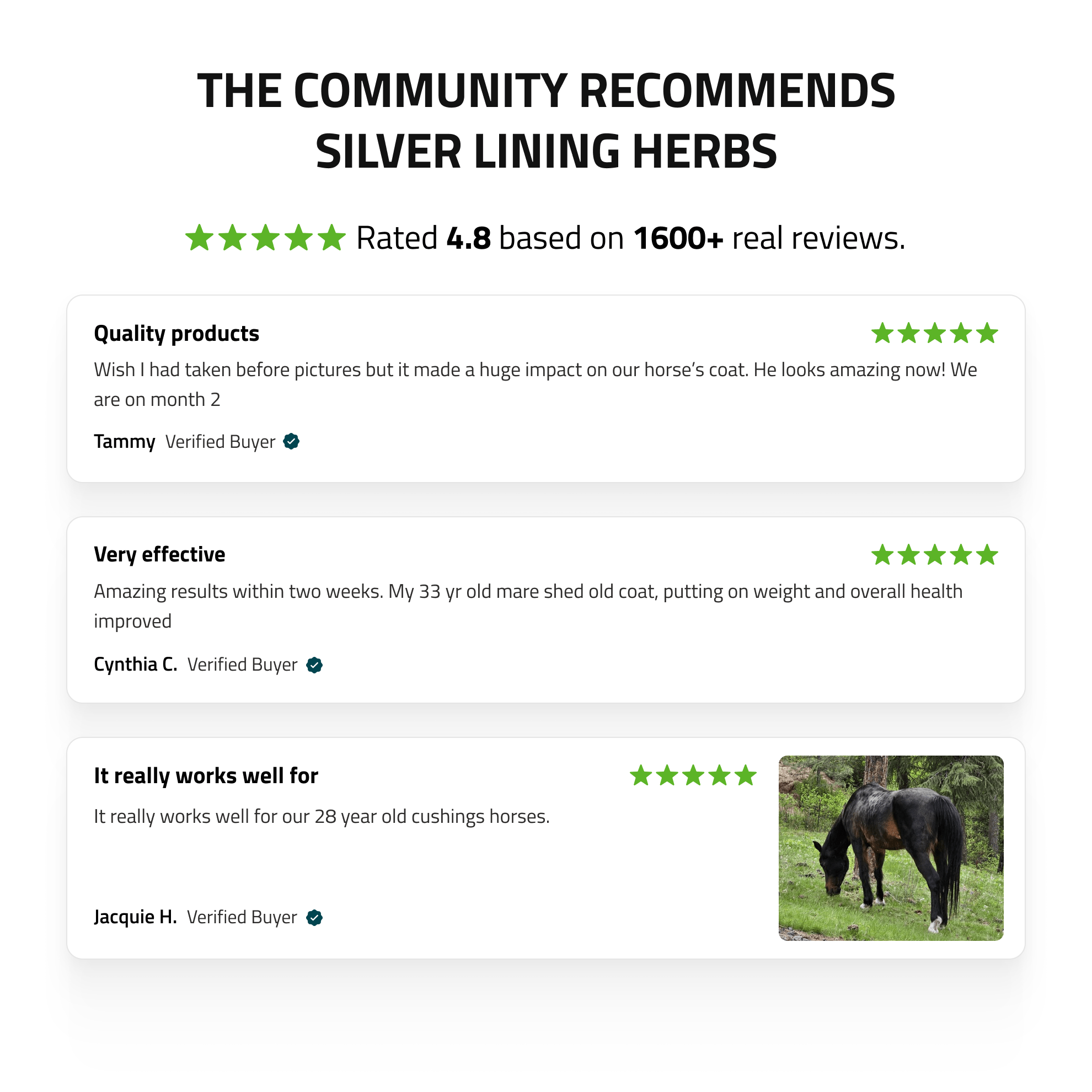 Pituitary Support for Horses - Equine Exchange Tack Shop