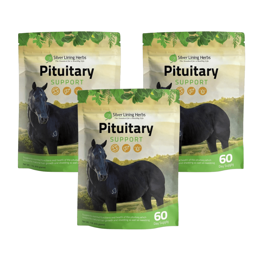 Pituitary Support for Horses - Equine Exchange Tack Shop